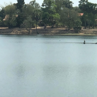 waters different - Single