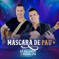 Máscara de pau