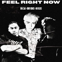 Feel Right Now (King Zaae Remix) - Single - BNH Deluxe & Henny Hermes