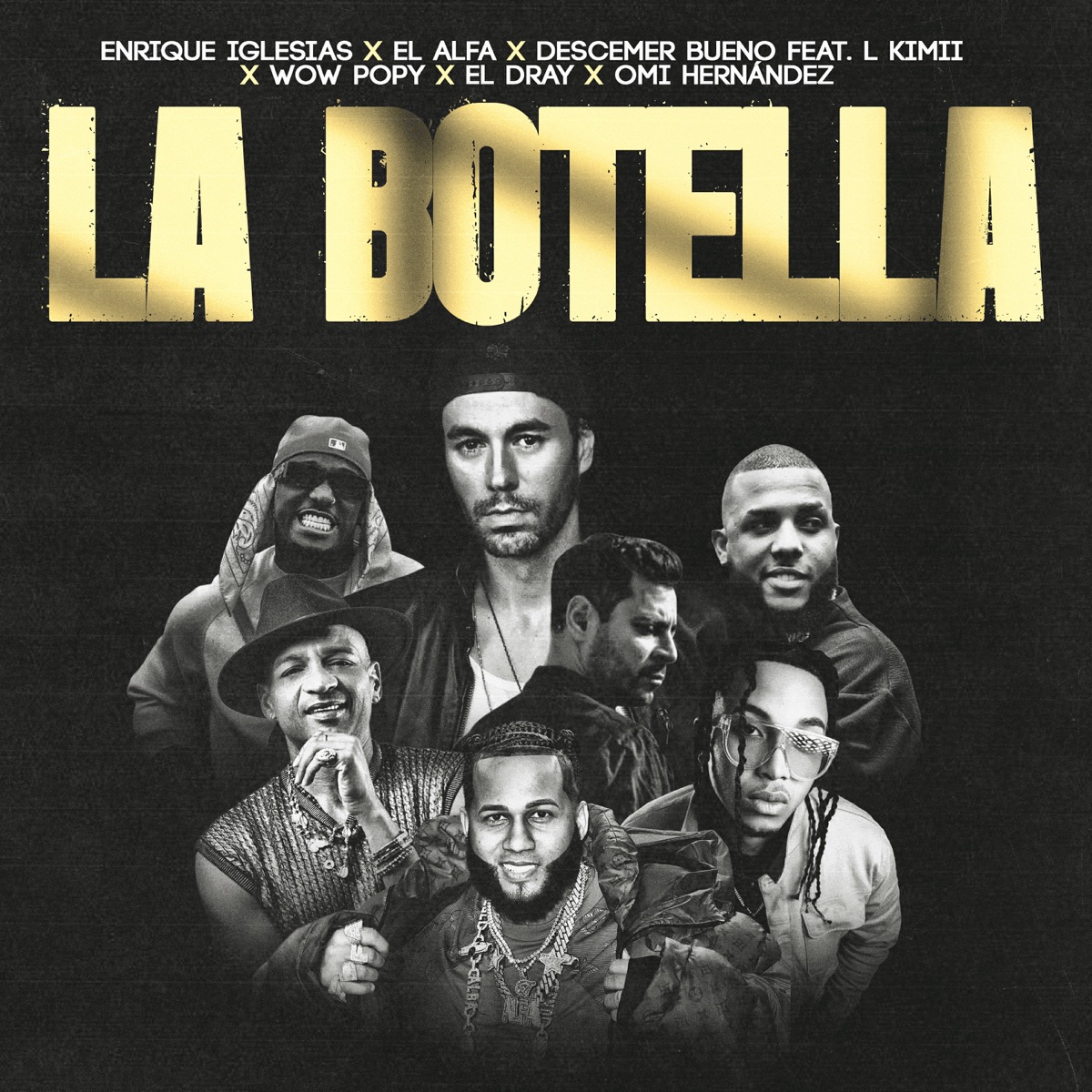 Enrique Iglesias, El Alfa & Descemer Bueno - La Botella (Remix) [feat. L kimii, Wow Popy, El Dray & Omi Hernandez] - Single (2025) [iTunes Plus AAC M4A]-新房子