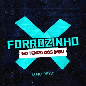 Forrozinho no Tempo dos Imbu