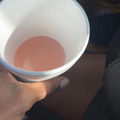 Lean wit me - Single