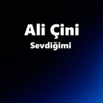 Sevdiğimi - Single