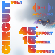 CIRCUIT 6 ARMS 45/15 5 ROUNDS - SonicSoundWorkout