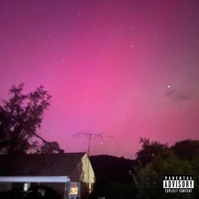 The Chip I Contain - Single