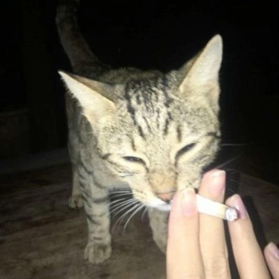 SHOOT WHERE U STAND - Single