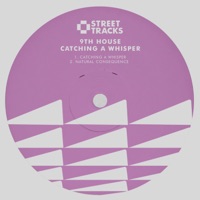 Catching a Whisper - Single - 9th House