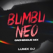 Blimblineo (Cachengue Mix) artwork
