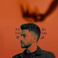 ورود - Single - زيد فيصل