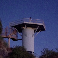 All For You - Single - Sammi Nassar