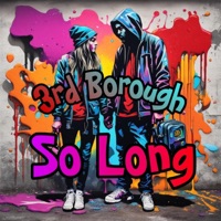 So Long (feat. apaulo8 & justin werner & co) - Single - 3rd Borough