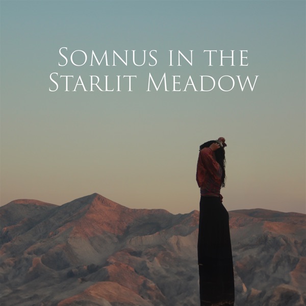 Somnus in the Starlit Meadow