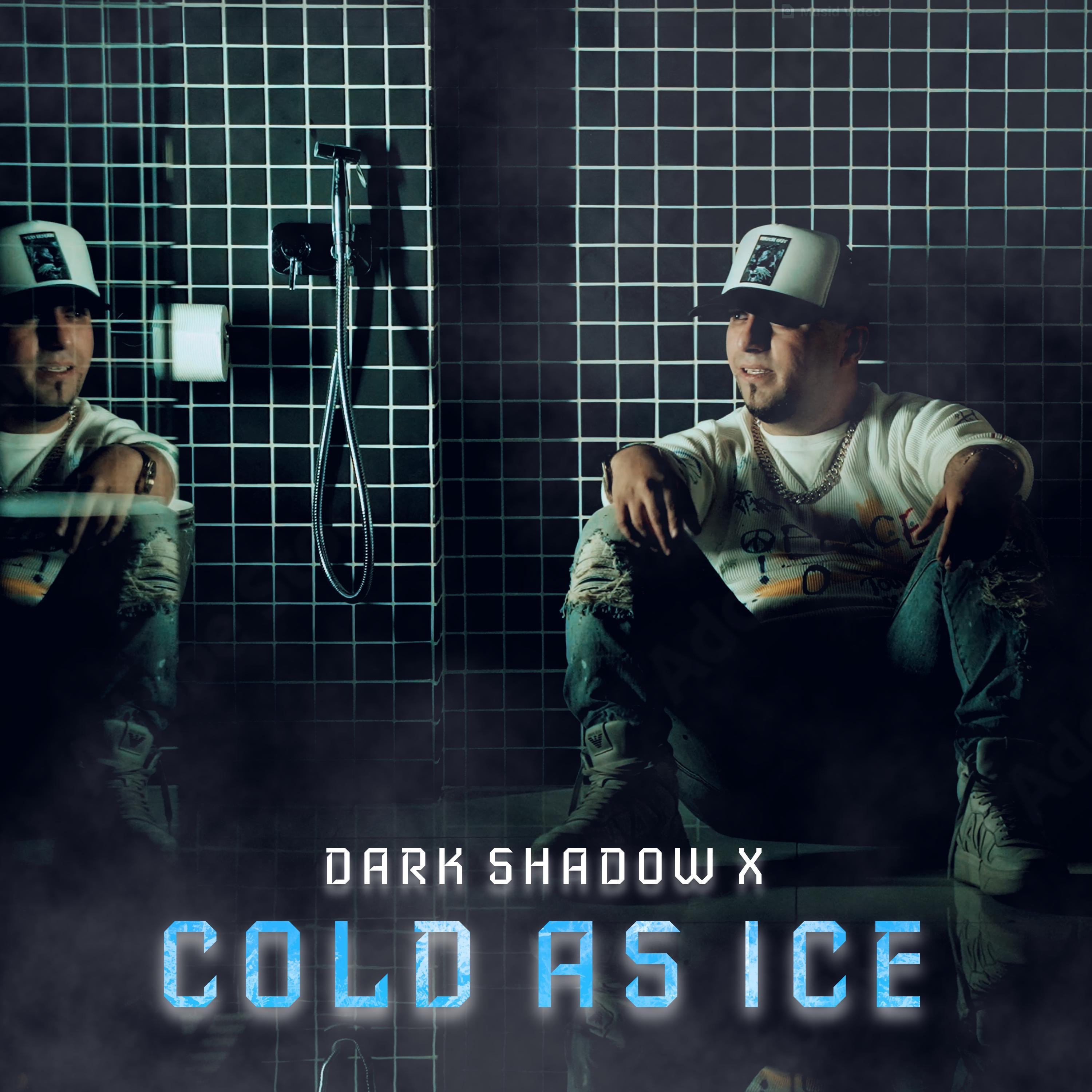 Dark Shadow X - Cold As Ice