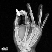 Hollowtips - Single - Motive105 & Novelist