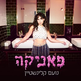 פאניקה Noam Kleinstein