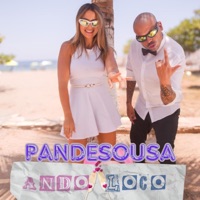 Ando Loco - Single - Pandesousa