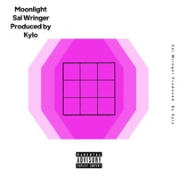 Moonlight - Single - Sal Wringer