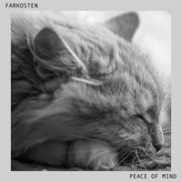 Peace of Mind - Single - Farkosten