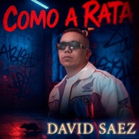 COMO A RATA - Single - David Saez