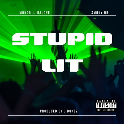 Stupid Lit (feat. SmokyDB) - Single