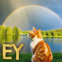 EY - Single - Mandy Mankind