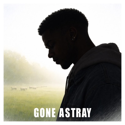 Gone Astray (feat. Megiddo) - Single