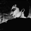 TRUE CHAD - пальмира (mylancore)