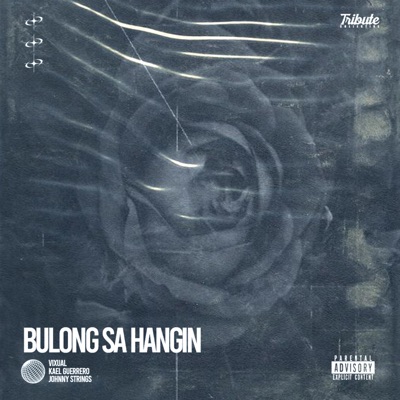 Bulong sa Hangin (feat. Vixual, Johnny Strings & Kael Guerrero) - Single