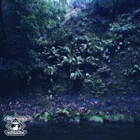 Album cover for Wisp by inJustice