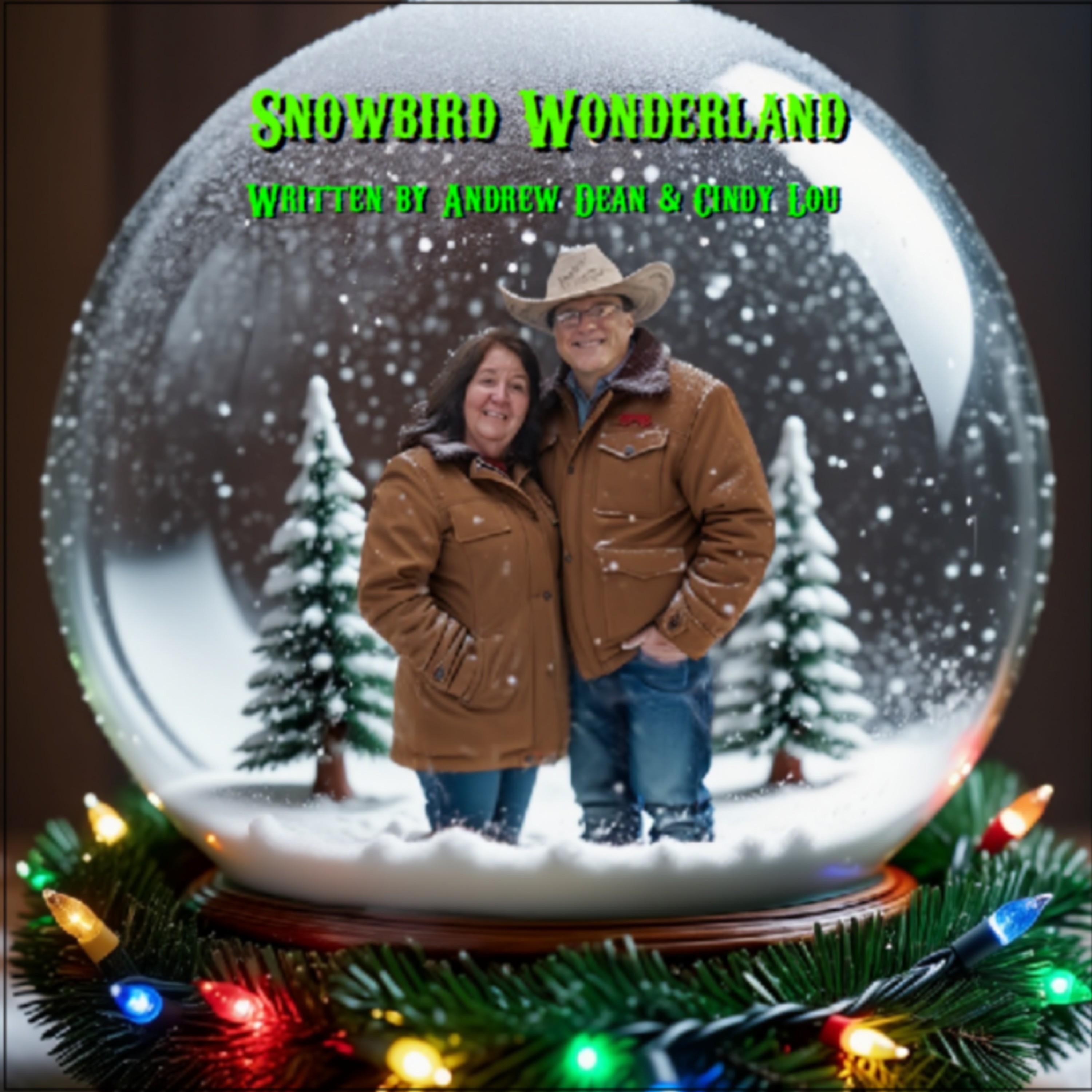 Snowbird Wonderland - Single
