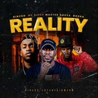 Reality (feat. Mr Diego, Master Chuza & Rosha) - Single - Binzoo