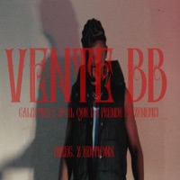 Vente BB (feat. Jf el que la prende & Zenemij) - Single - Calixteo
