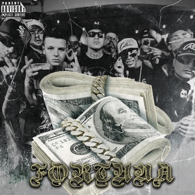 Fortuna (feat. Bodo, Aranda 468, El Flako Mh, $etvibe24k, Dies, Yerack 468) - Single