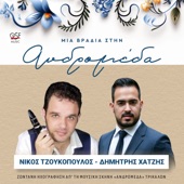 Τι Κρίμα Τι Κρίμα artwork