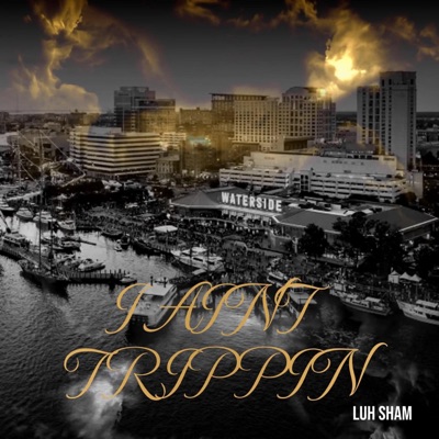 I Aint Trippin (Radio Edit) - Single