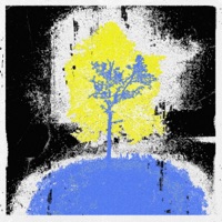 warhol - Single - Tom D.