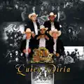 Quien diria