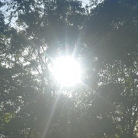 Reflection (feat. Fr33wayKo) - Single - Brennn