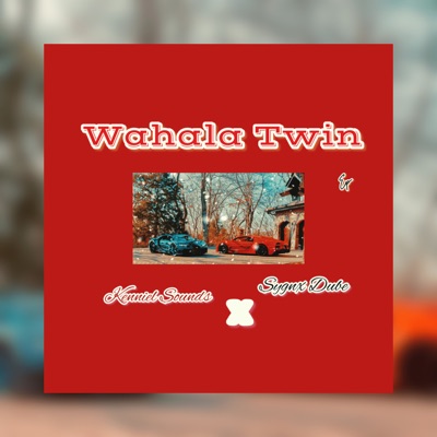 Wahala Twin (feat. Sygnx Dube) - Single