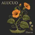 ILIACUS