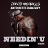 NEEDIN' U 2024 (Extended Mix) [feat. Antoinette Dunleavy] - David Morales