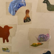 Champion Trees - C. Market, Rondebosch Park