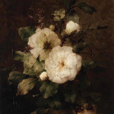 my pretty flower - Single