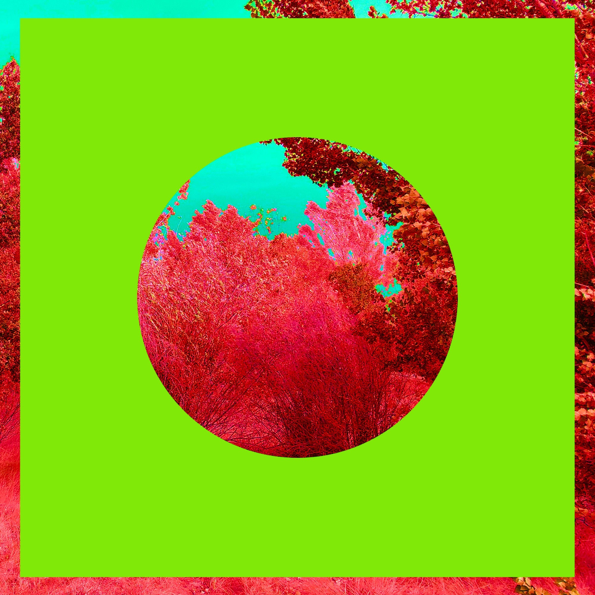 Because He Lives - Single