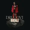 Drugovi budale