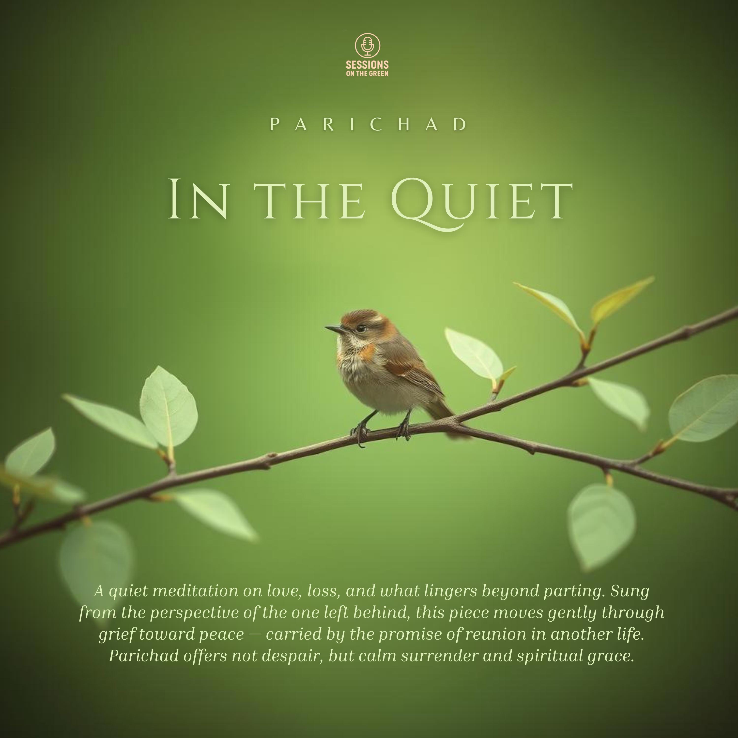 In the Quiet (feat. Parichad) - Single