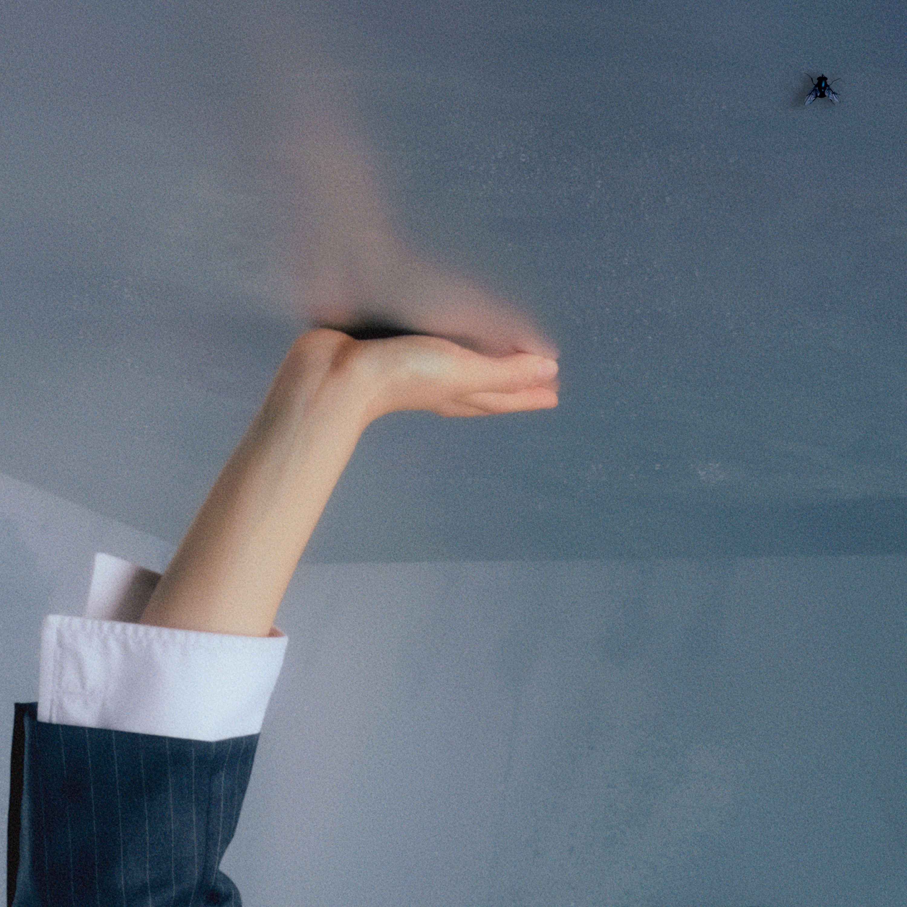 Chloe Qisha - 21st Century Cool Girl