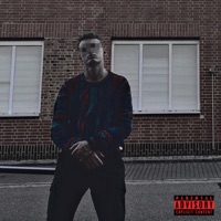 Willst Du Nich' - Single - AceAcer