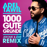 1000 Gute Grüne (Jerome & Dize Remix) - Single