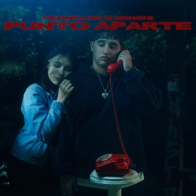 Punto aparte (feat. Benshi) - Single